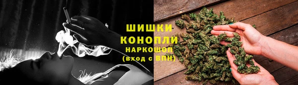 spice Надым