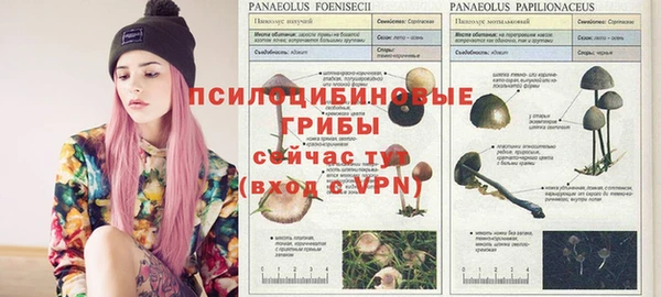 spice Навашино