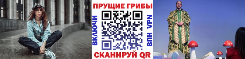 Галлюциногенные грибы прущие грибы купить сайты Дербент