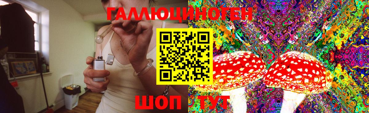 Псилоцибиновые грибы ЛСД Дербент