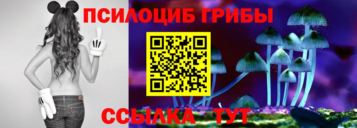 Гашиш  КОКАИН  APVP СОЛЬ   ЭКСТАЗИ  МЕФ кристаллы  Конопля  Конопля  Дербент  Меф   COCAIN 