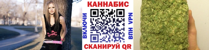 Каннабис планчик Дербент